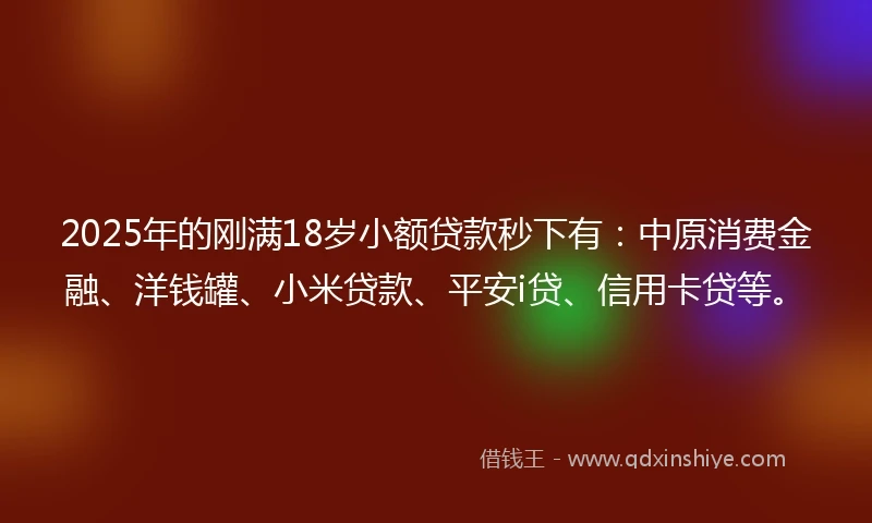 2025年的刚满18岁小额贷款秒下有：中原消费金融、洋钱罐、小米贷款、平安i贷、信用卡贷等。