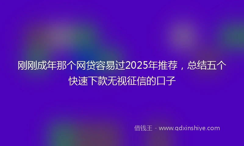 刚刚成年那个网贷容易过2025年推荐，总结五个快速下款无视征信的口子