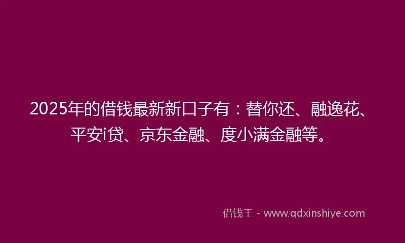 2025年的借钱最新新口子有：替你还、融逸花、平安i贷、京东金融、度小满金融等。