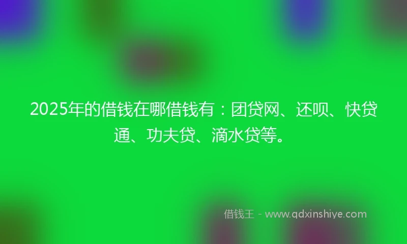2025年的借钱在哪借钱有：团贷网、还呗、快贷通、功夫贷、滴水贷等。