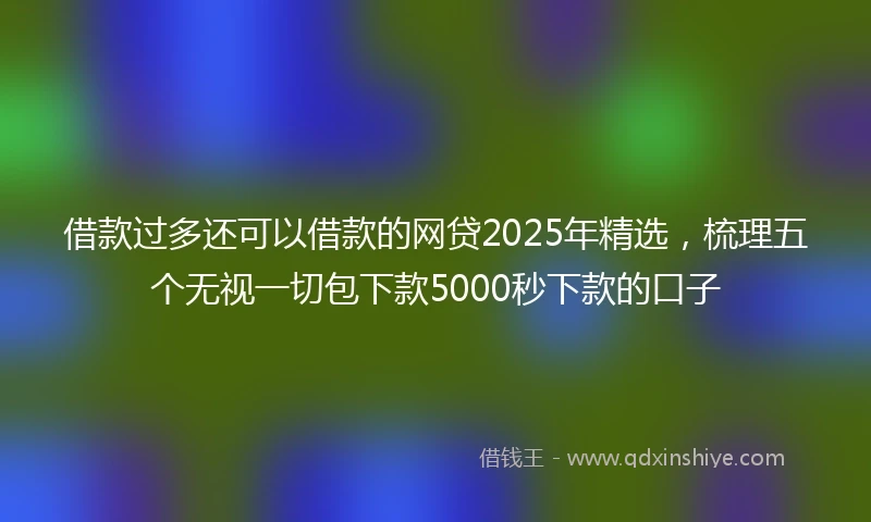 借款过多还可以借款的网贷2025年精选，梳理五个无视一切包下款5000秒下款的口子