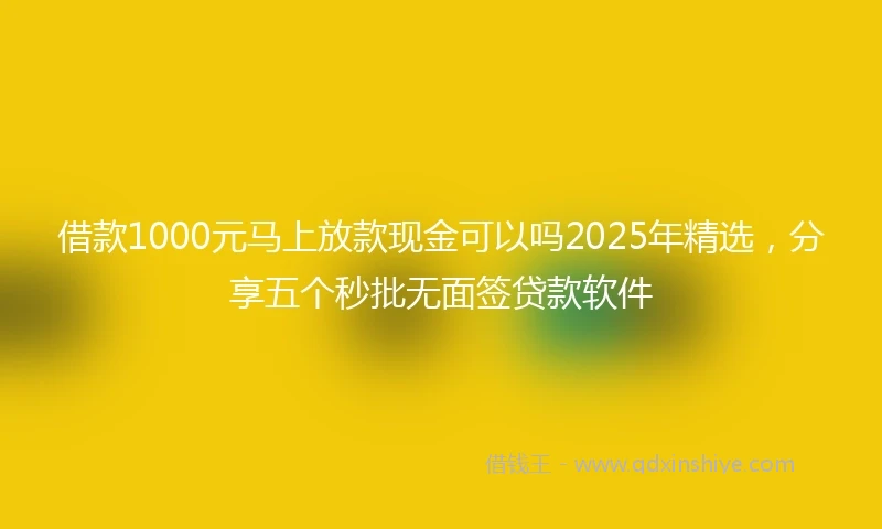 借款1000元马上放款现金可以吗2025年精选，分享五个秒批无面签贷款软件