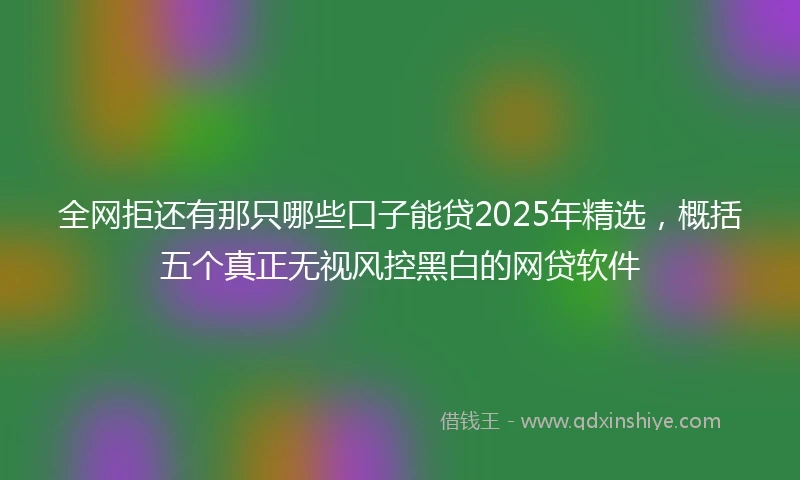 全网拒还有那只哪些口子能贷2025年精选，概括五个真正无视风控黑白的网贷软件
