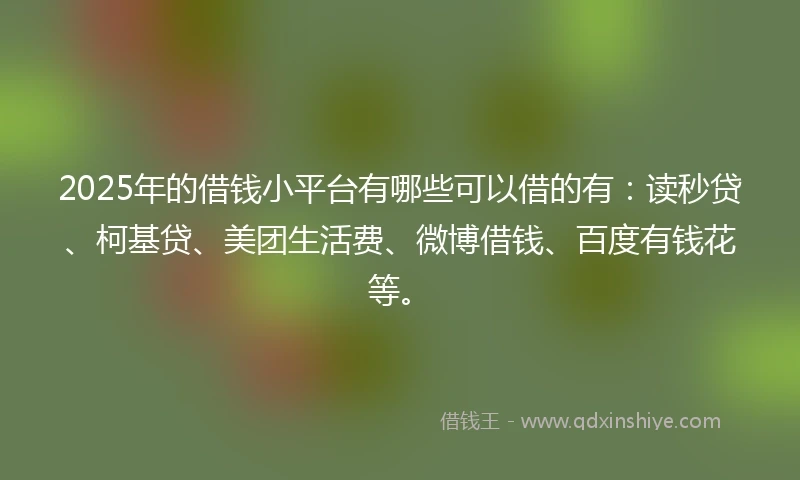 2025年的借钱小平台有哪些可以借的有：读秒贷、柯基贷、美团生活费、微博借钱、百度有钱花等。