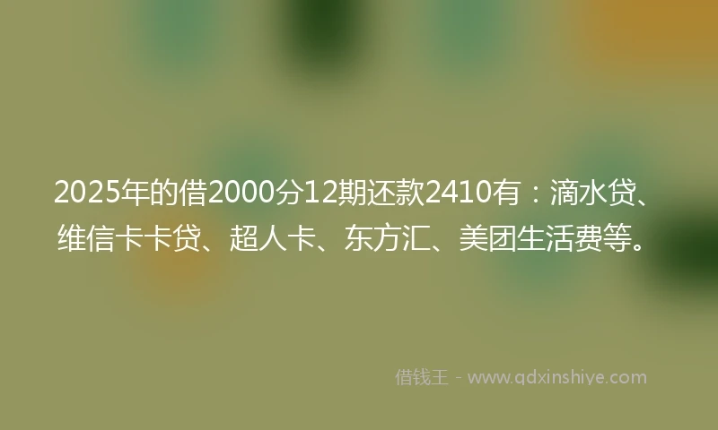 2025年的借2000分12期还款2410有：滴水贷、维信卡卡贷、超人卡、东方汇、美团生活费等。