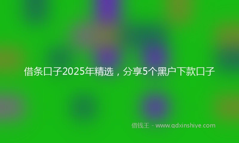 借条口子2025年精选，分享5个黑户下款口子