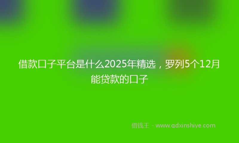 借款口子平台是什么2025年精选，罗列5个12月能贷款的口子