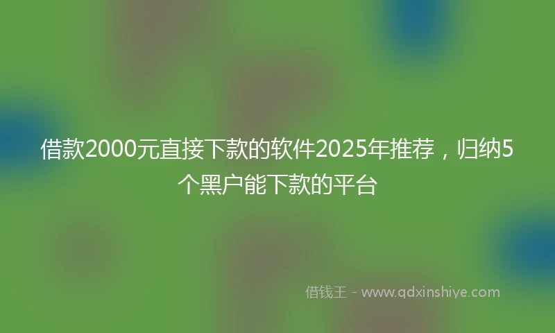 借款2000元直接下款的软件2025年推荐，归纳5个黑户能下款的平台