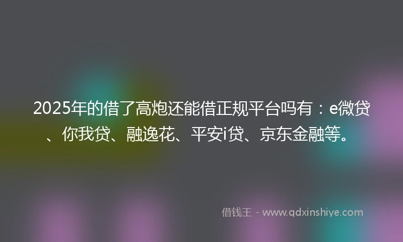 2025年的借了高炮还能借正规平台吗有：e微贷、你我贷、融逸花、平安i贷、京东金融等。