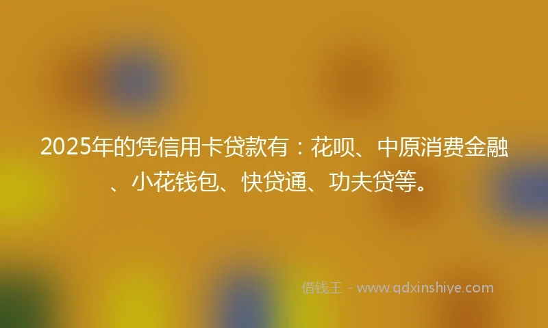 2025年的凭信用卡贷款有：花呗、中原消费金融、小花钱包、快贷通、功夫贷等。