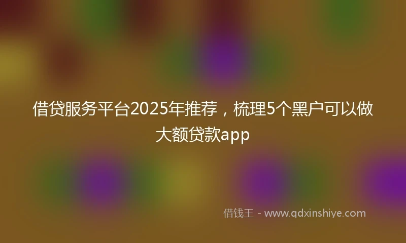 借贷服务平台2025年推荐，梳理5个黑户可以做大额贷款app
