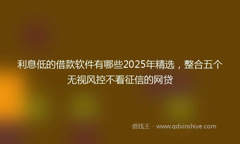 利息低的借款软件有哪些2025年精选，整合五个无视风控不看征信的网贷