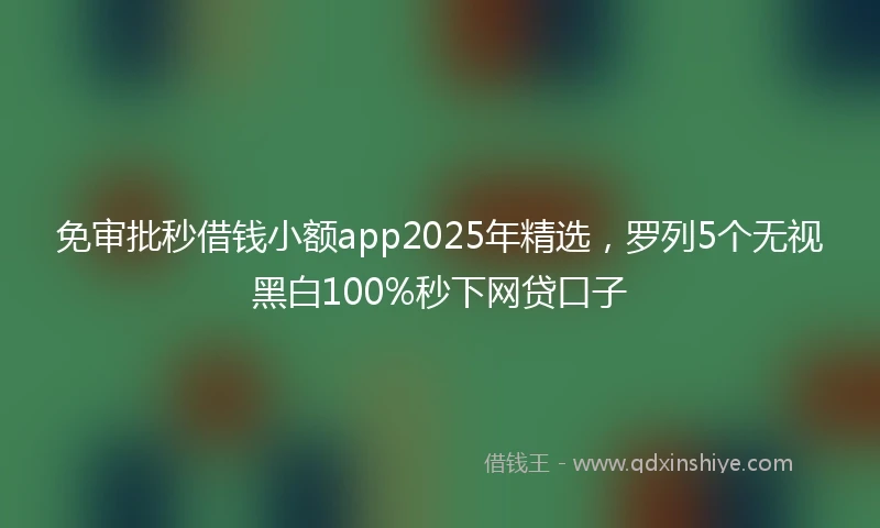 免审批秒借钱小额app2025年精选，罗列5个无视黑白100%秒下网贷口子