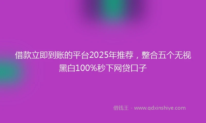 借款立即到账的平台2025年推荐，整合五个无视黑白100%秒下网贷口子