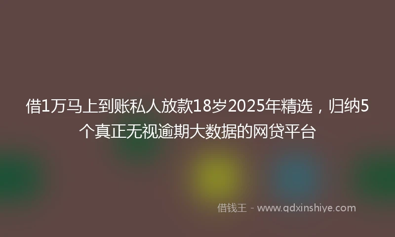 借1万马上到账私人放款18岁2025年精选,归纳5个真正无视逾期大数据的网贷平台