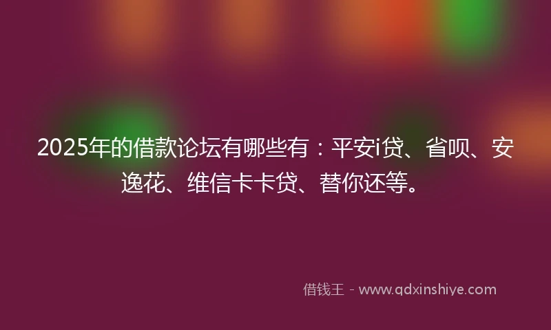 2025年的借款论坛有哪些有：平安i贷、省呗、安逸花、维信卡卡贷、替你还等。