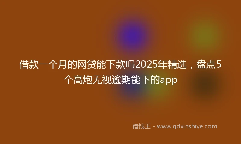借款一个月的网贷能下款吗2025年精选，盘点5个高炮无视逾期能下的app