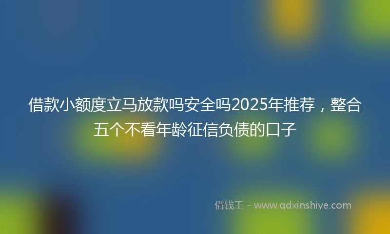 借款小额度立马放款吗安全吗2025年推荐，整合五个不看年龄征信负债的口子