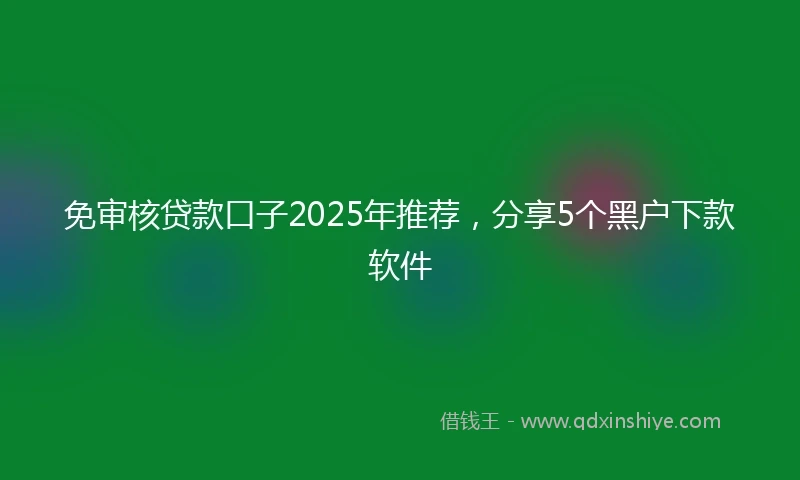 免审核贷款口子2025年推荐，分享5个黑户下款软件