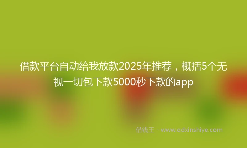 借款平台自动给我放款2025年推荐，概括5个无视一切包下款5000秒下款的app