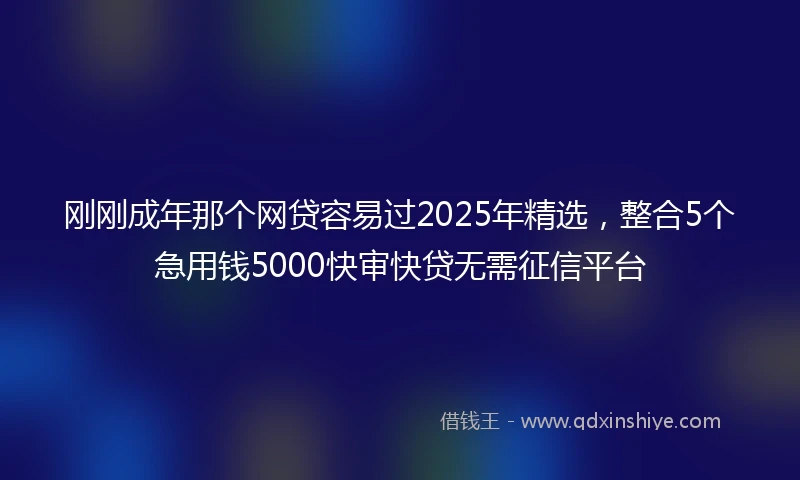 刚刚成年那个网贷容易过2025年精选，整合5个急用钱5000快审快贷无需征信平台