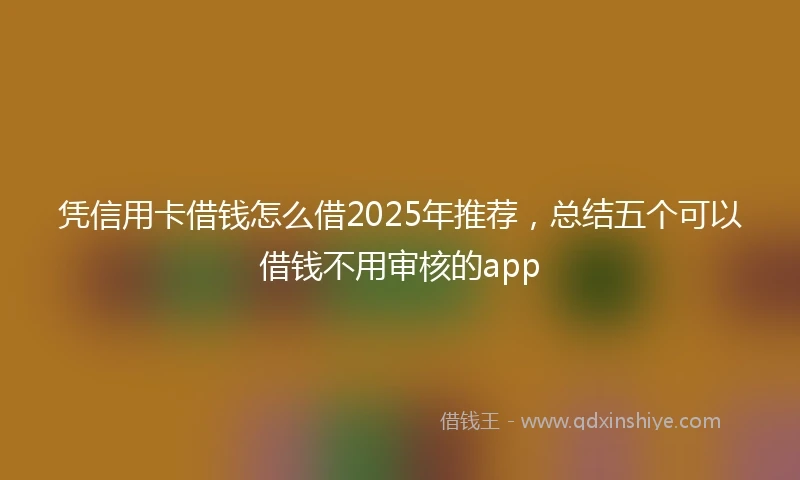 凭信用卡借钱怎么借2025年推荐，总结五个可以借钱不用审核的app