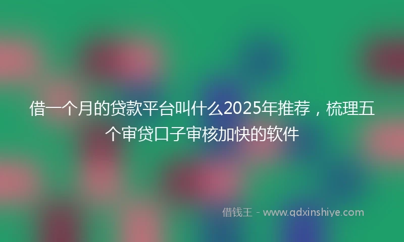 借一个月的贷款平台叫什么2025年推荐，梳理五个审贷口子审核加快的软件