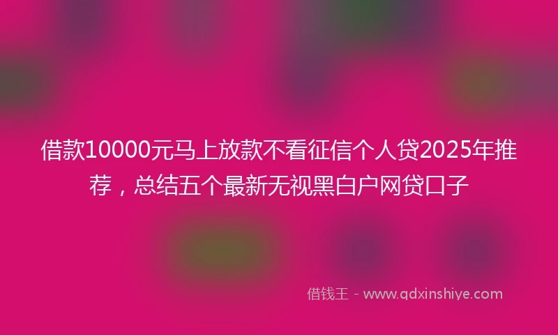 借款10000元马上放款不看征信个人贷2025年推荐，总结五个最新无视黑白户网贷口子