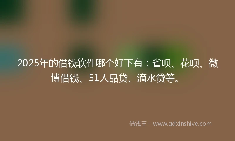 2025年的借钱软件哪个好下有：省呗、花呗、微博借钱、51人品贷、滴水贷等。