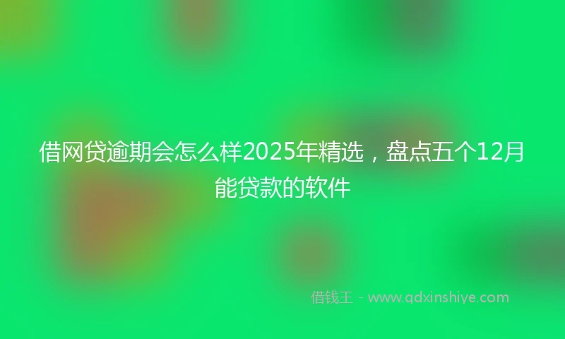 借网贷逾期会怎么样2025年精选，盘点五个12月能贷款的软件