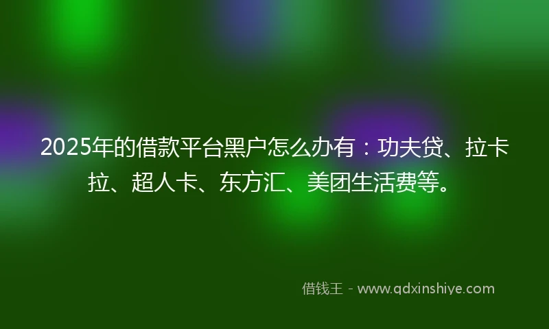 2025年的借款平台黑户怎么办有：功夫贷、拉卡拉、超人卡、东方汇、美团生活费等。
