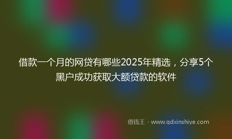 借款一个月的网贷有哪些2025年精选，分享5个黑户成功获取大额贷款的软件