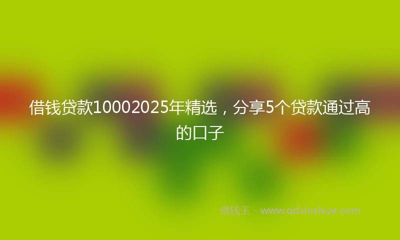 借钱贷款10002025年精选，分享5个贷款通过高的口子