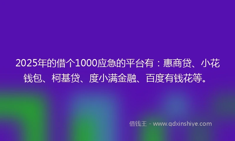 2025年的借个1000应急的平台有：惠商贷、小花钱包、柯基贷、度小满金融、百度有钱花等。