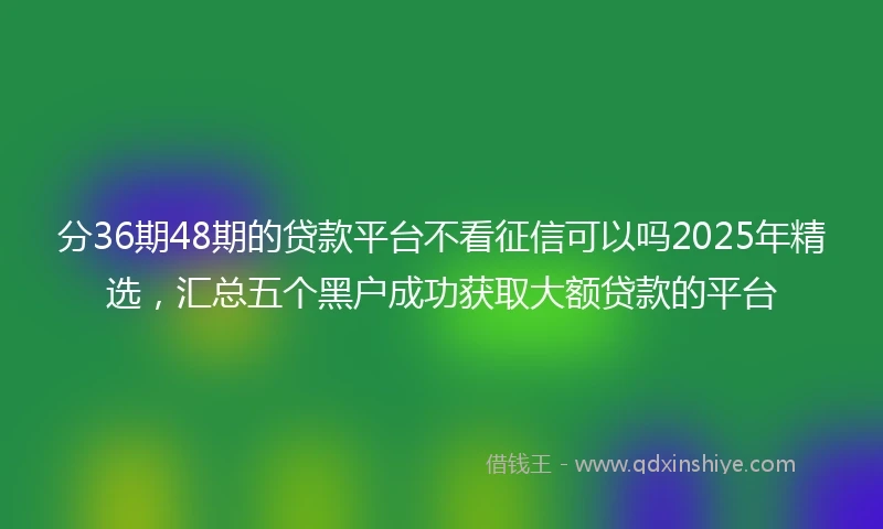 分36期48期的贷款平台不看征信可以吗2025年精选，汇总五个黑户成功获取大额贷款的平台