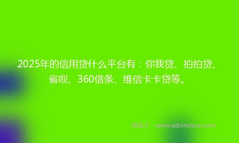 2025年的信用贷什么平台有：你我贷、拍拍贷、省呗、360借条、维信卡卡贷等。