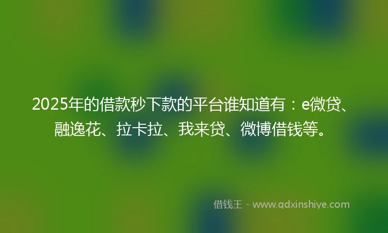 2025年的借款秒下款的平台谁知道有：e微贷、融逸花、拉卡拉、我来贷、微博借钱等。