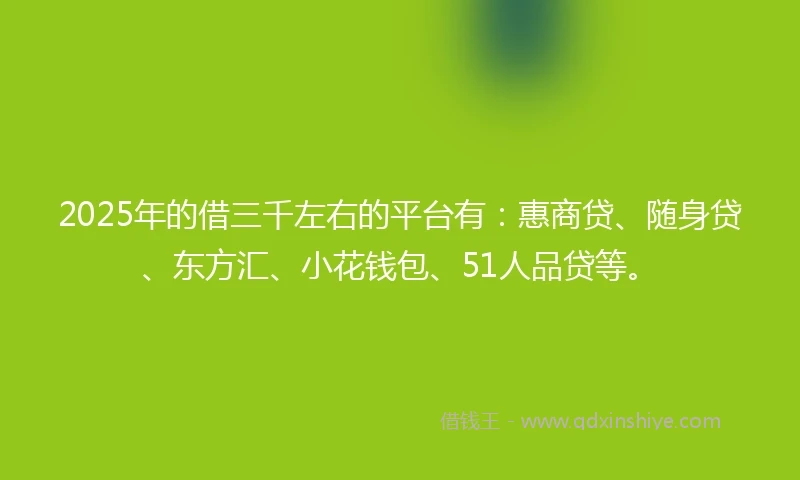 2025年的借三千左右的平台有：惠商贷、随身贷、东方汇、小花钱包、51人品贷等。
