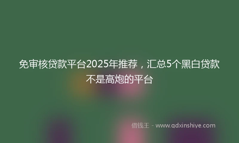 免审核贷款平台2025年推荐，汇总5个黑白贷款不是高炮的平台