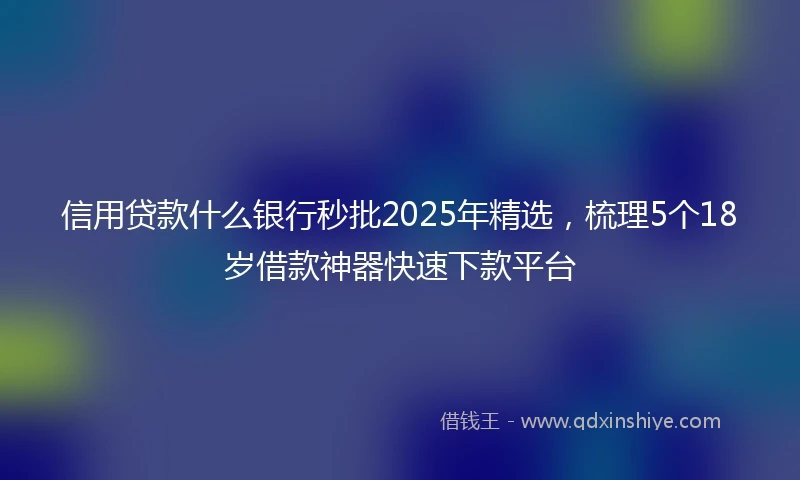 信用贷款什么银行秒批2025年精选，梳理5个18岁借款神器快速下款平台