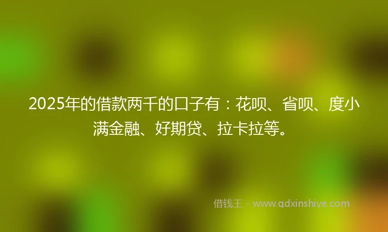 2025年的借款两千的口子有：花呗、省呗、度小满金融、好期贷、拉卡拉等。