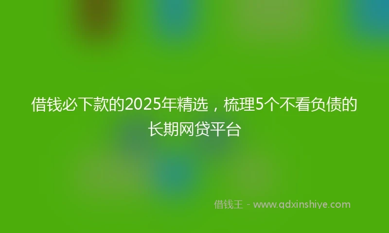 借钱必下款的2025年精选，梳理5个不看负债的长期网贷平台