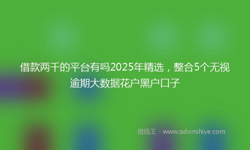 借款两千的平台有吗2025年精选，整合5个无视逾期大数据花户黑户口子