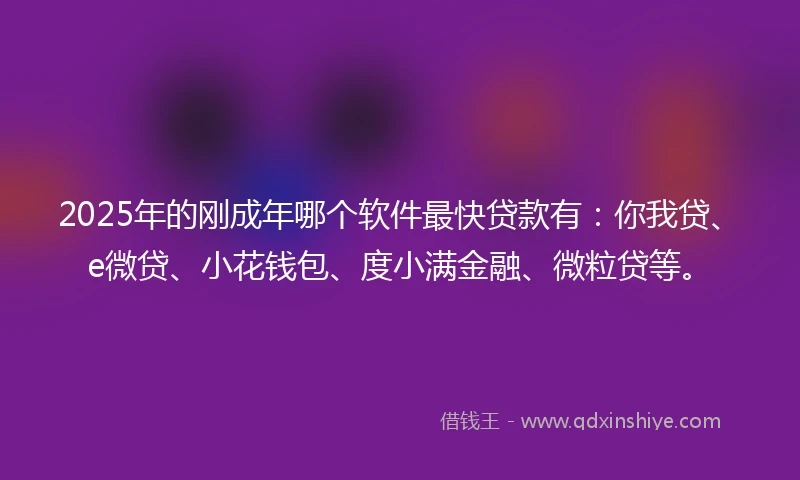 2025年的刚成年哪个软件最快贷款有：你我贷、e微贷、小花钱包、度小满金融、微粒贷等。
