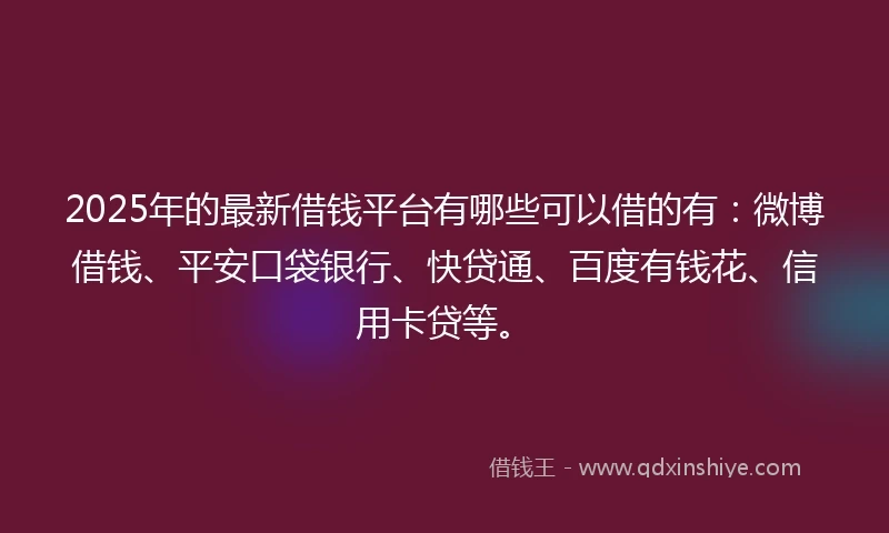 2025年的最新借钱平台有哪些可以借的有：微博借钱、平安口袋银行、快贷通、百度有钱花、信用卡贷等。