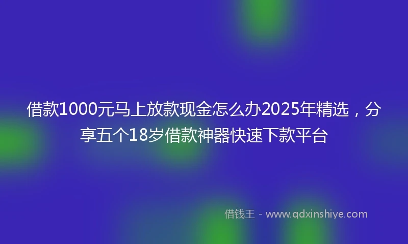 借款1000元马上放款现金怎么办2025年精选，分享五个18岁借款神器快速下款平台
