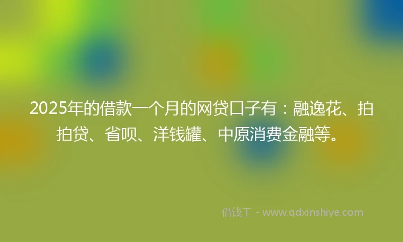 2025年的借款一个月的网贷口子有：融逸花、拍拍贷、省呗、洋钱罐、中原消费金融等。