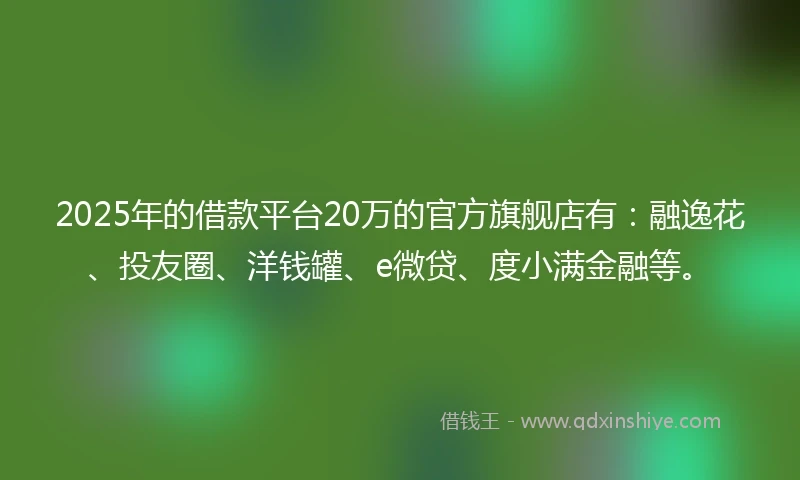 2025年的借款平台20万的官方旗舰店有:融逸花、投友圈、洋钱罐、e微贷、度小满金融等。