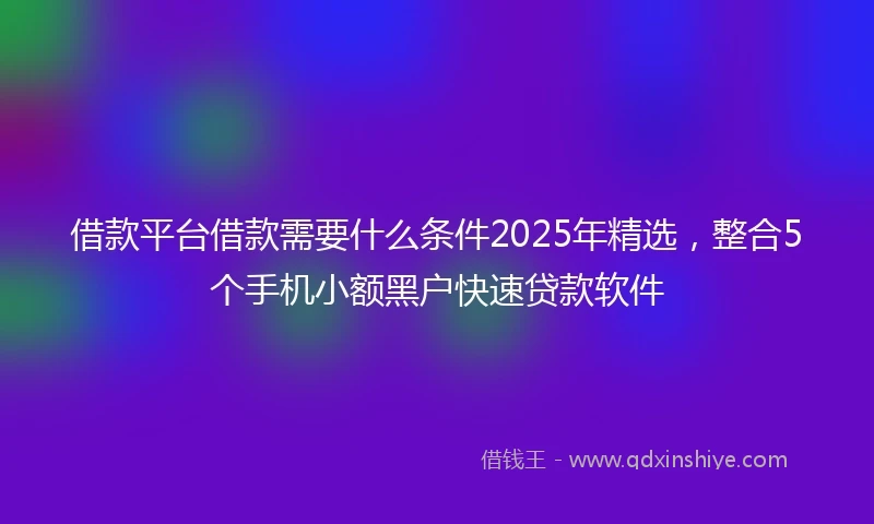 借款平台借款需要什么条件2025年精选，整合5个手机小额黑户快速贷款软件