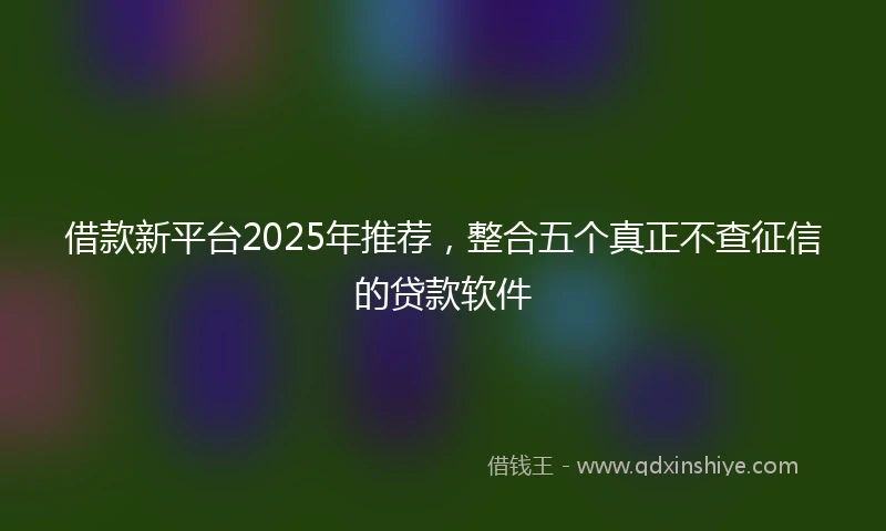 借款新平台2025年推荐，整合五个真正不查征信的贷款软件